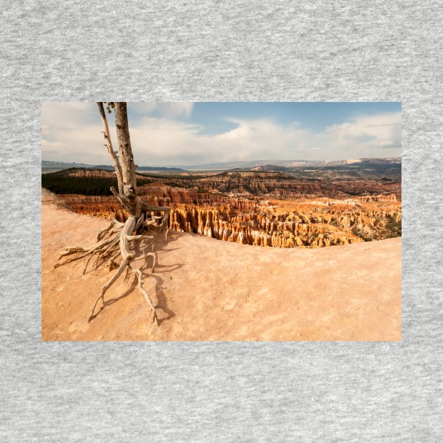 Bryce Canyon Survivor by nikongreg